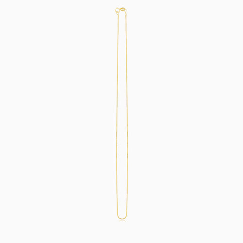 Spigaa-Goldkette