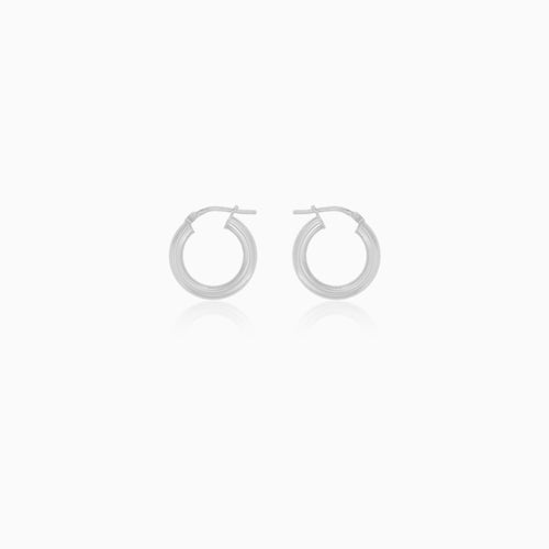 Sterling Silver Hoop Earrings with a Mirror Shine