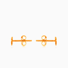 Glänzende Stern Roségold Stecker