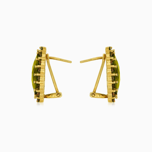 Oválné naušnice s moldavitem a kulatým broušeným granátem