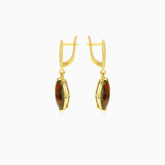 Subtle glamour dangle earrings