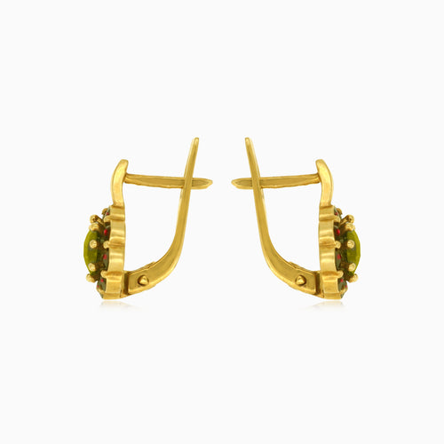 Náušnice z královského 14kt zlata s vltavínem a granátem