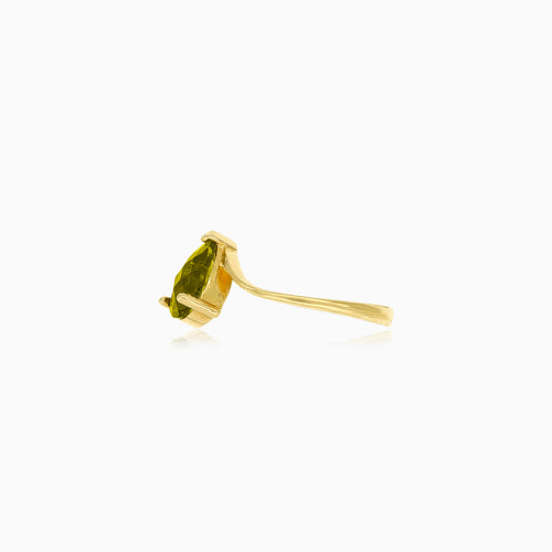 Goldener Tropfenzauber-Ring