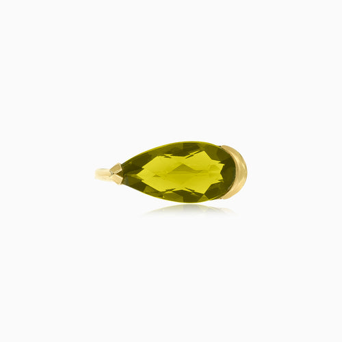 Goldener Elegance Unleashed Statement-Ring