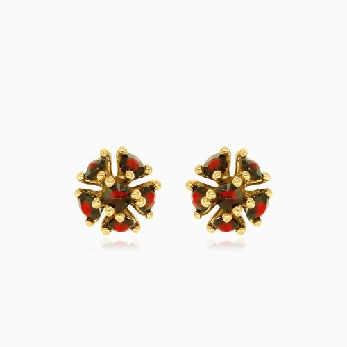 Stilvolle Granat-Ohrstecker aus 14kt Gold