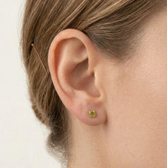 Puces élégantes en moldavite