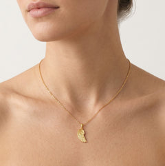Goldflügel mit Details