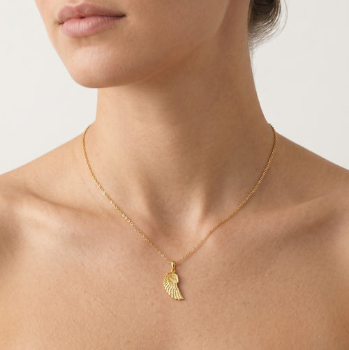 Goldflügel mit Details