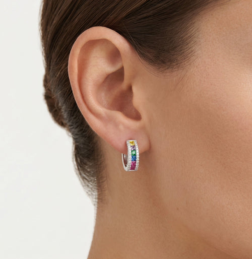 Silberne Kreise in Multicolor