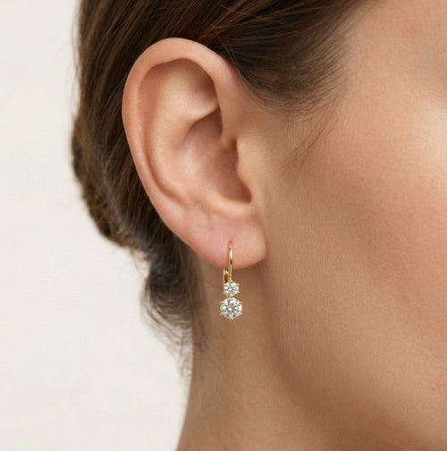 Sechs-Krappen-Zirkonia-Gold-Ohrringe