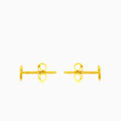 Glänzende Stern-Gold-Stecker