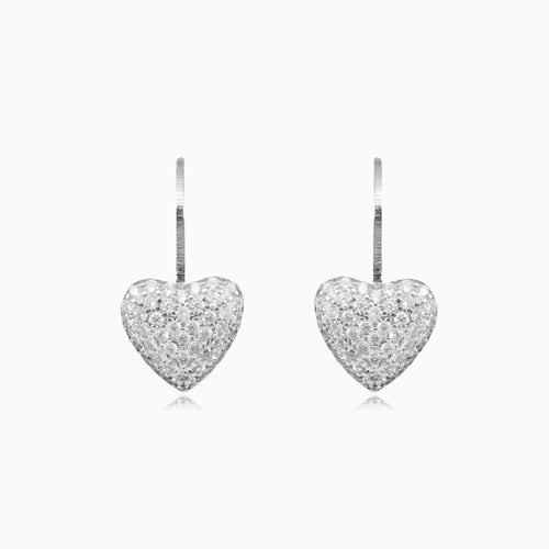 Shiny heart earrings