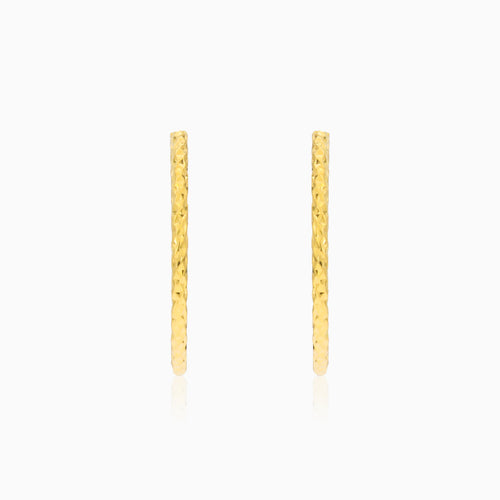 Diamanten-polierte Gold-Ohrhänger