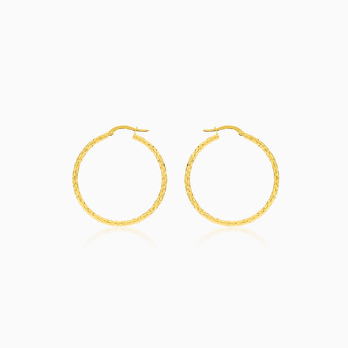 Diamanten-polierte Gold-Ohrhänger