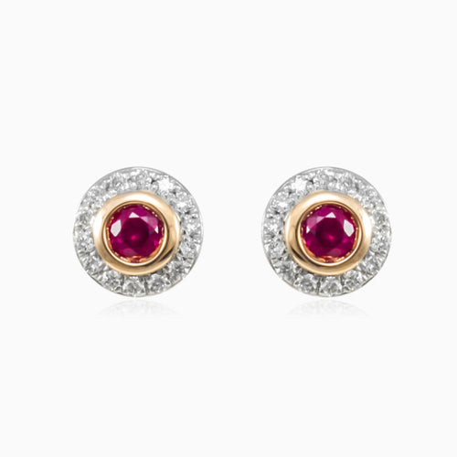 Rubin- und Diamant-Goldstecker