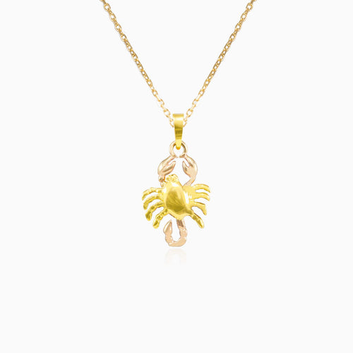 Gold-Skorpion-Zeichen-Anhänger