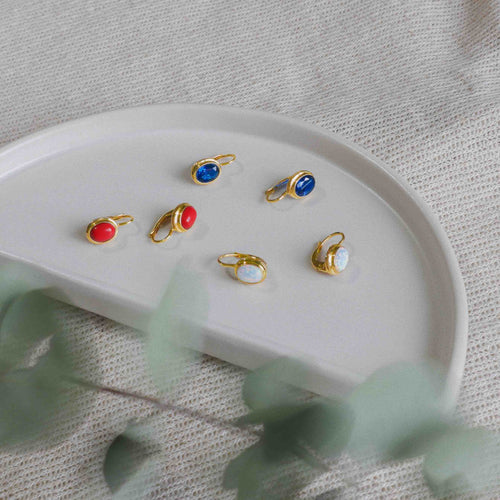 Classic coral earrings