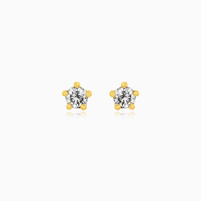Stern-Diamant Ohrringe