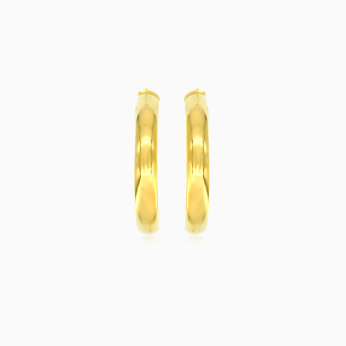 Classic gold hoop earrings for women