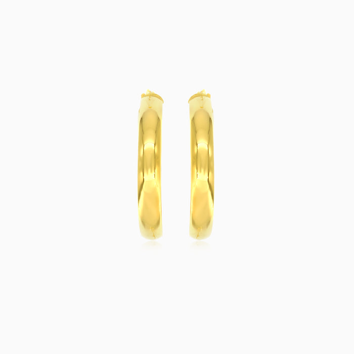 Classic gold hoop earrings for women