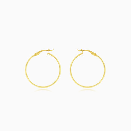 Classic gold hoop earrings for women