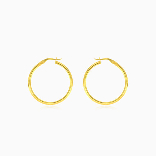 Thin classic gold hoop earrings for women