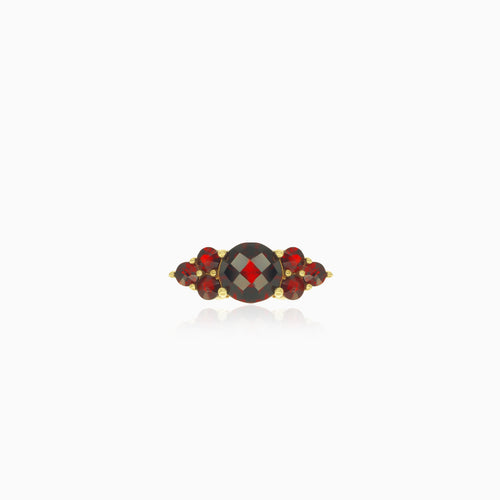 Yellow gold ring with round cut garnets