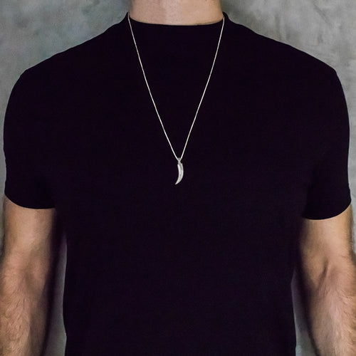 Silver tigers tooth pendant