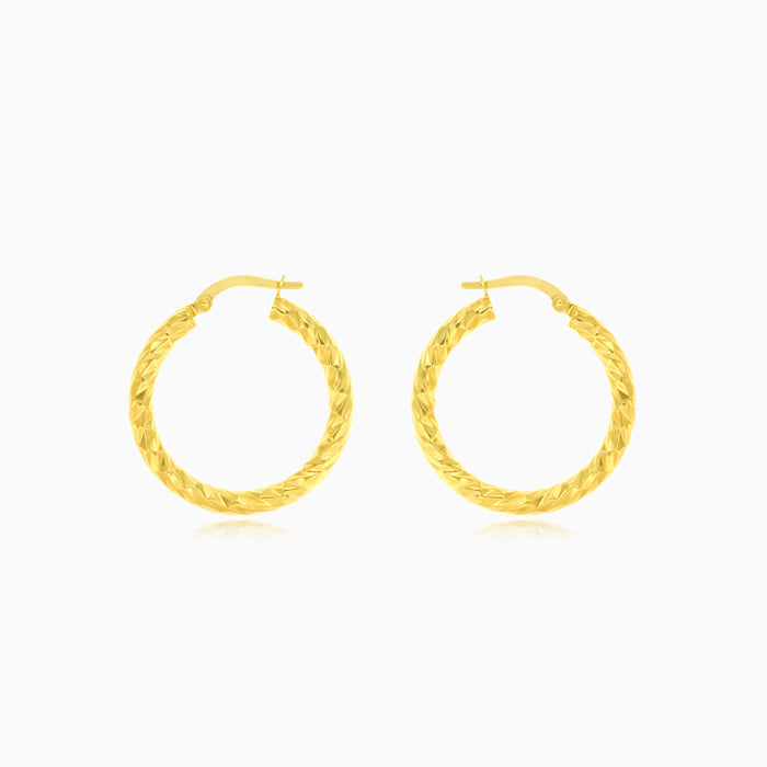Luxe latch elegance hoops
