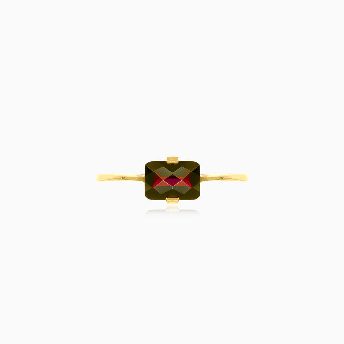 Brillanz-Ring mit Granat in Stabbesatz aus 14 Karat Gold