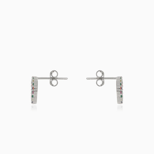 Silver earrings multicolor circle