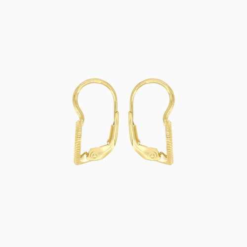 Heart shaped cubic zirconia earrings