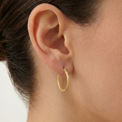 Pendientes de aro redondeado lustroso en oro