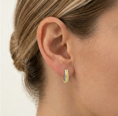 Cubic gold earrings