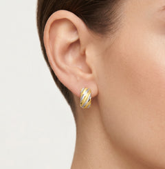 Lustrous two tone gold earrings