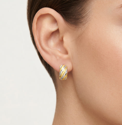 Lustrous two tone gold earrings