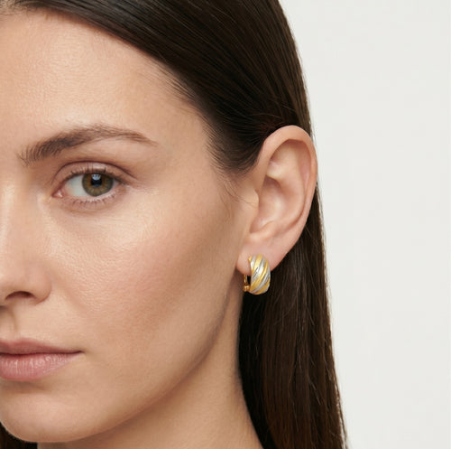 Lustrous two tone gold earrings