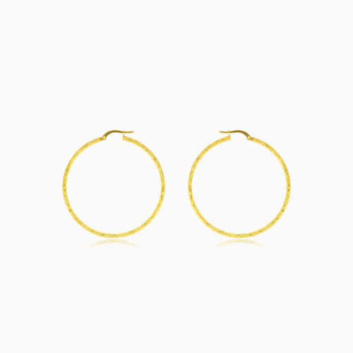 Diamond cut hoop earrings