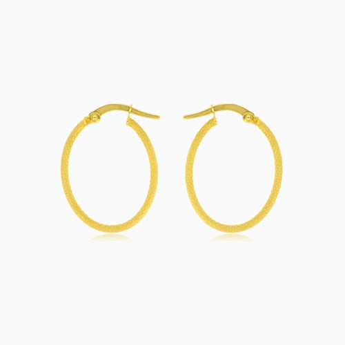Lustrous gold rounded hoops earrings