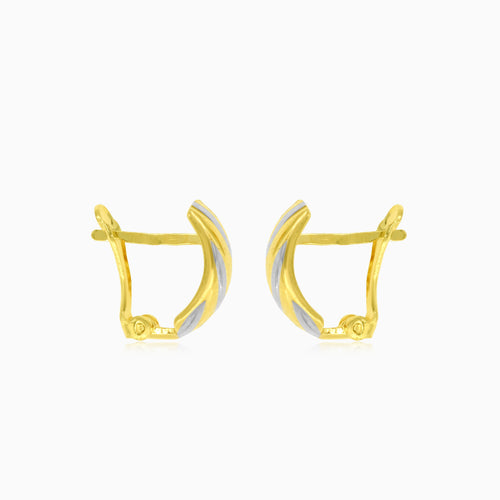 Lustrous two tone gold earrings