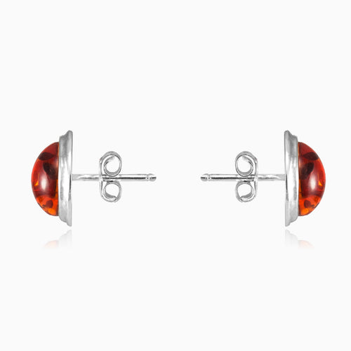 Round amber earrings
