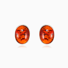 Oval amber earrings