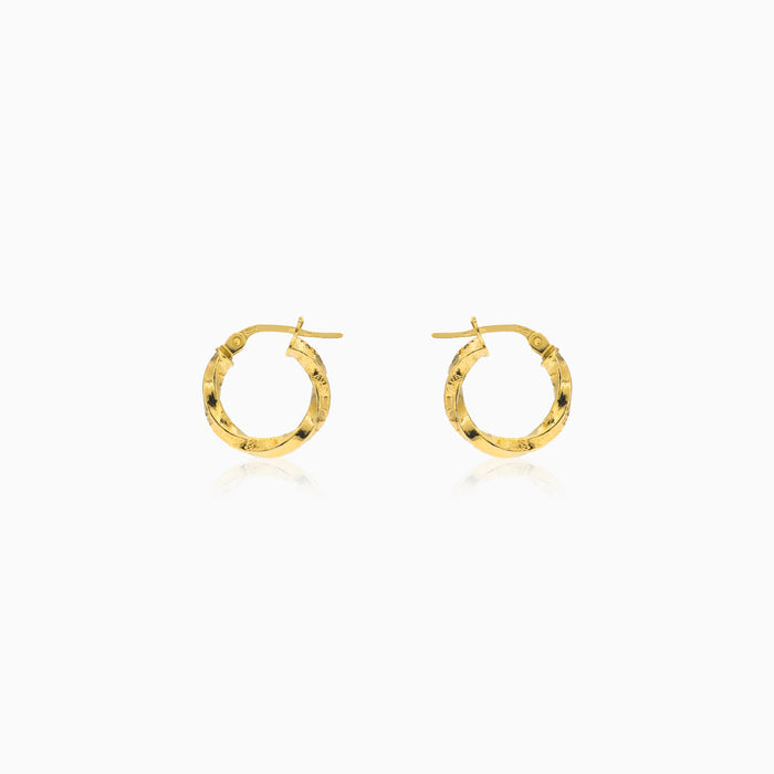 Small twisted greek earrings