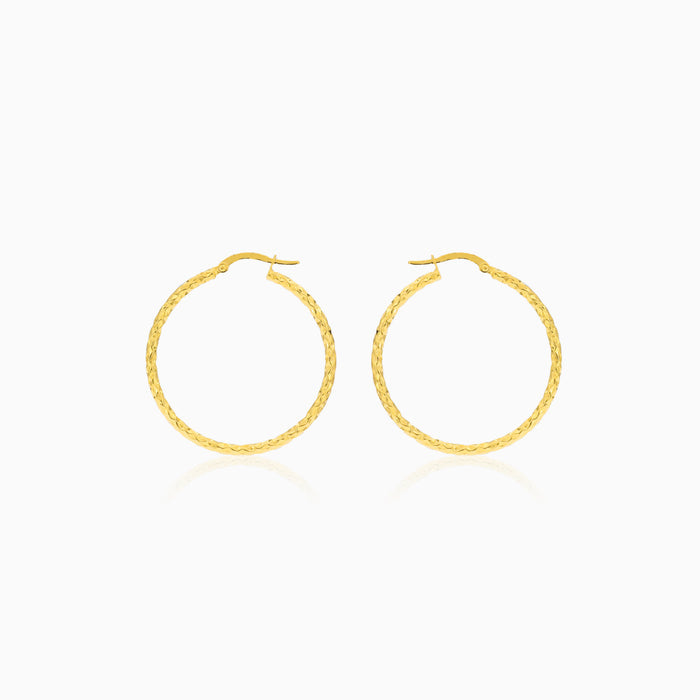 Diamanten-polierte Gold-Ohrhänger
