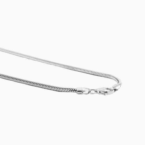 Silver snake chain